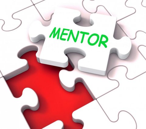 Mentor - the missing piece of the puzzle.