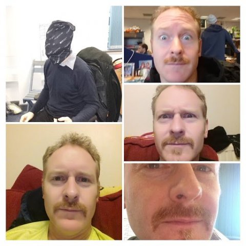 Ross Movember collage